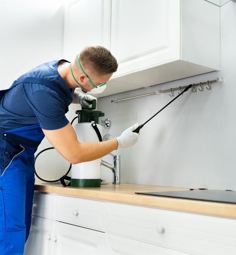 pest control service